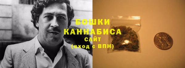 ПСИЛОЦИБИНОВЫЕ ГРИБЫ Баксан