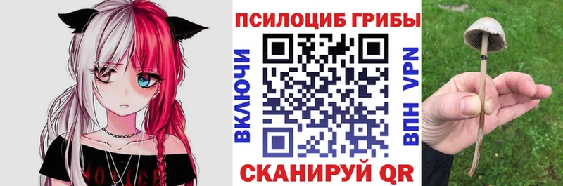 Псилоцибиновые грибы прущие грибы  Ясный 