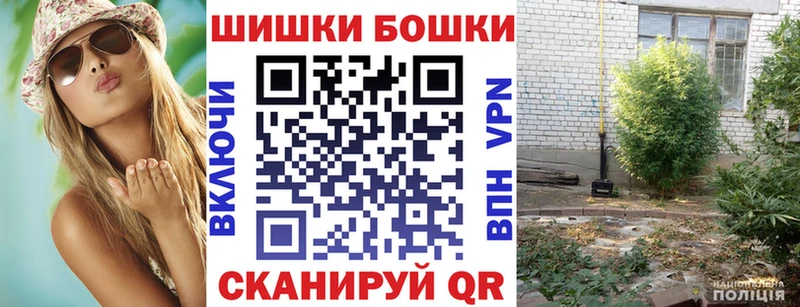 где можно купить   Ясный  Канабис SATIVA & INDICA 